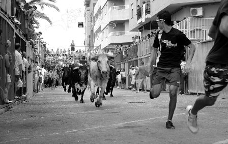 FESTES DE GATA: Bousi bous