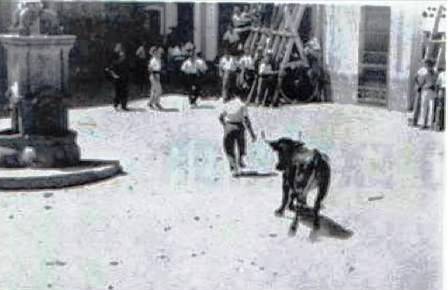 FOTOGRAFIES ANTIGUES (Gata en el record) -880, la de hui dia 11-