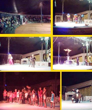 EL CIRC REGALA UN DIA MÉS ALS XIQUETS DE GATA