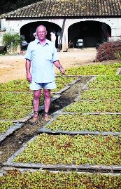 LA PREMSA parla deLA PANSA A LA MARINA ALTA