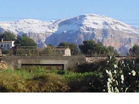 IMATGES CURIOSES: neu al Montgó fa sis anys