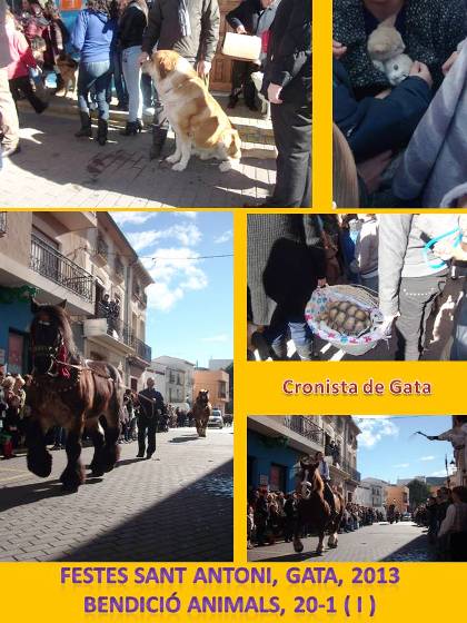 FESTES DE SANT ANTONI 2013 GATA ( I ): Mascotes gracioses
