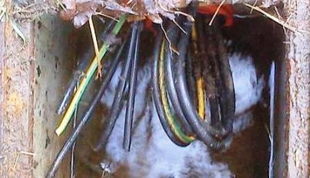 ROBATORI DEL CABLEJAT DE LLUM DEL PARC DEL RAVAL
