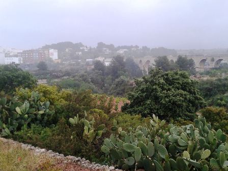 PLUJA TOT EL DIA, però el riu ja no xorra (28 litres més)