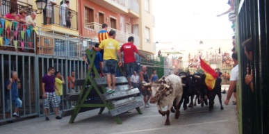 HUI, 6é DIA DE FESTES GATA 2013: dedicat als bous
