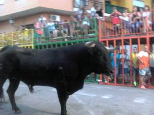 HUI, 8é DIA DE FESTES A GATA: DIA DE LES TRADICIONS