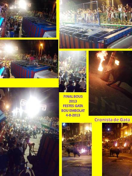 FESTES GATA: I ELS BOUS S'HAN ACABAT (últim bou embolat)