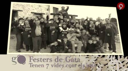 IMATGES CURIOSES: RECORDANT QUE GATA TAMBÉ VA EIXIR A CANAL9 TVV (Gormandia)