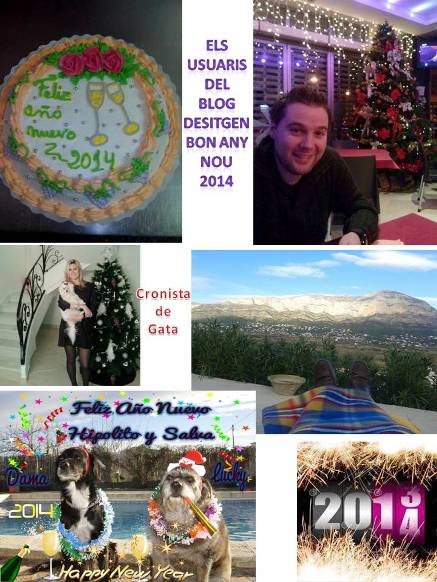 ELS USUARIS DEL BLOG FELICITEN EL NOU ANY 2014