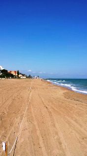 LA FONT DEL RIU S'EN VA A LA MAR: HUI, CONCURS DE PESCA