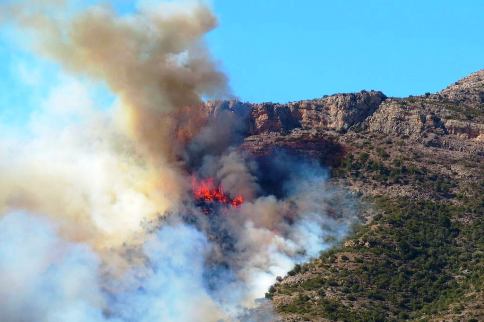 EL NOSTRE MONTGÓ ES CREMA. QUINA LLÀSTIMA I QUINA INJUSTÍCIA!!