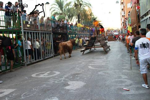HUI, DILLUNS 4, ONZÉ DIA DE FESTES A GATA: Tradicions