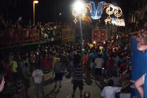 S'HAN ACABAT ELS BOUS DE GATA 2014, l'any que ve més