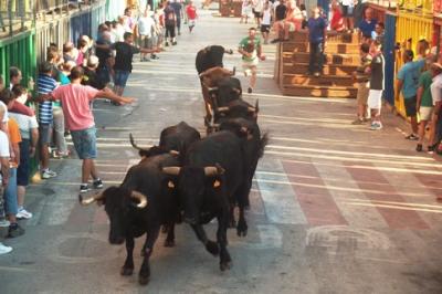 RECORDEUL'ENQUESTA DE FESTES FINS EL 31 D'AGOST