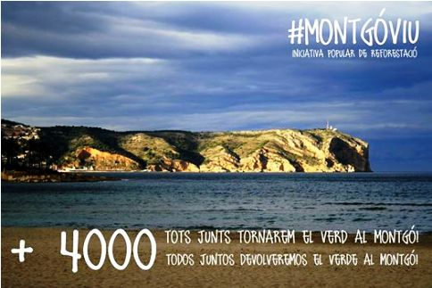 NAIX UNA INICIATIVA PER A REFORESTAT EL MÉS AVIAT POSSIBLE LA ZONA INCENDIADA DEL MONTGÓ