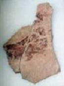 LA PREMSA PARLA dela plaqueta, del pla energètic i de l'atur (paro) a Gata