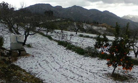 FA UN FRED QUE PELA, COM SI ESTIGUEREM A NADAL