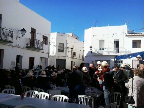 ELS MILLORS VINS DEL VIII POSA VI, CATA VI (FESTES SANT ANTONI GATA 2015)