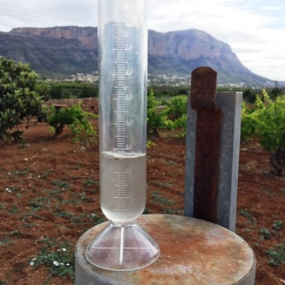 TEMPS GATA: VA PLOURE MOLT POQUET, 2,5 LITRES