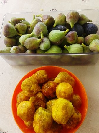 20150725193526-figues.jpg