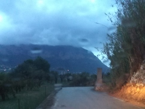 SEGUEIX LA PLUJA. Aquesta nit ha plogut i aquest matí també: plou amb coneixement a Gata