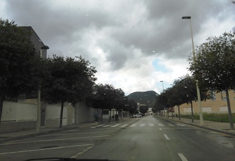 GATA: HUI DISSABTE LA LLEUGUERA PLUJA (0,8 litres) HA BANYAT EL TERRENY