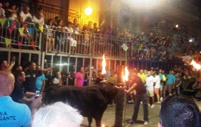 BOUS A FESTES ( II ): ELS DIARIS PUBLIQUENsobre l'acord de lequip de Govern, de no sol·licitar permís a la GV per a fer bou embolat i bou encaixonat