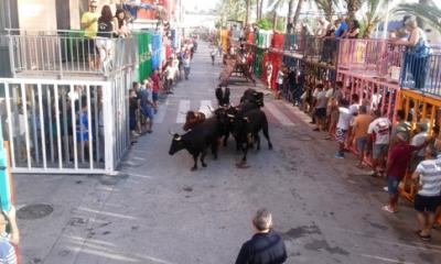 FESTES GATA: HUI, DISSABTE 30 (3r dia): Primera entrà, inauguració corro