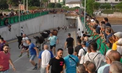 HUI 29 JULIOL 2017, DATA HISTÒRICA A GATA: canvi de corro dels bous; ara a l'antic camp de futbol