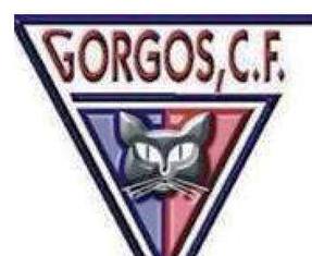 NOVA JORNADA FUTBOLERA PER AL GORGOS: GOLEJA A DOMICILI LINFANTIL (0-3). CAUEN ELS MAJORS, ELS JUVENILS I ELS CADETS.