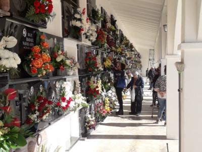 ELS GATERS PUJEN AL CEMENTERI I VISITEN ALS SEUS DIFUNTS: Dia de Tots els Sants a Gata