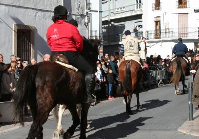 HUI ÉS SANT ANTONI. GATA CELEBRA LES TRADICIONALS FESTES AL SANT EL CAP DE SETMANA, DE DEMÀ A DIUMENGE