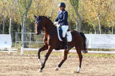 LA GATERA LOURDES MONFORT I EL SEU CAVALL DUNDEE, MEDALLA D'OR A LA CATEGORIA D'ADULTS AFICIONATS DE LA COMUNITAT