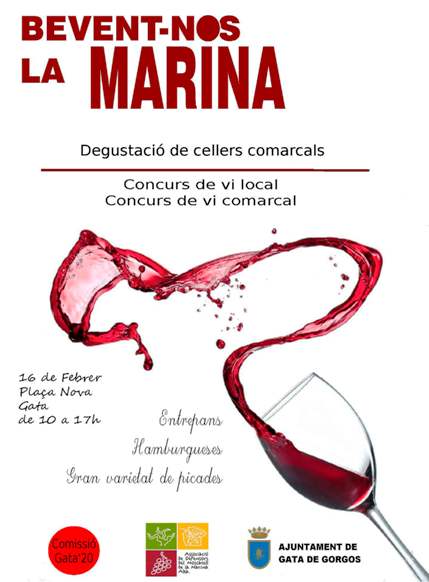 GATA ACULL DIUMENGE DIA 16, LA PLAÇA NOVA, LA FESTA DEL VI