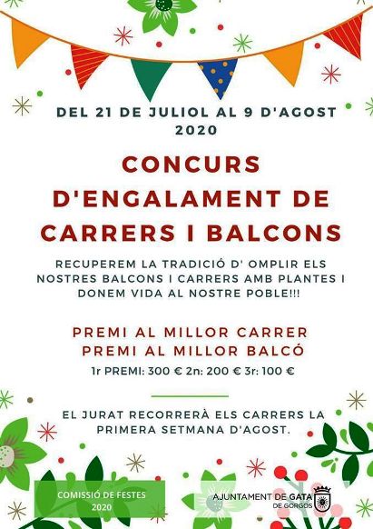 GATA VOL LLUÏR BONICA A LESTIU I A LES FESTES QUE NO ES PODEN FER PEL COVID-19