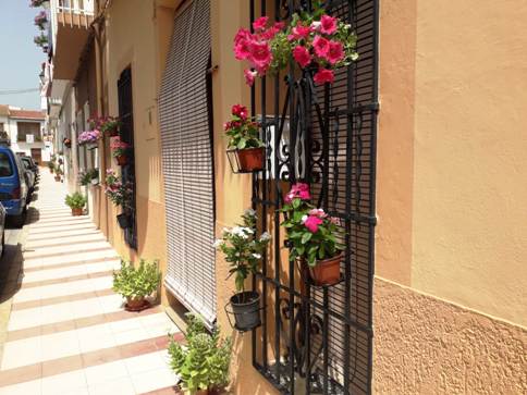 SENSE FESTES OFICIALSPERÒ EL VEÏNAT ADORNA CASES I CARRERS DE GATA (Covid-19)