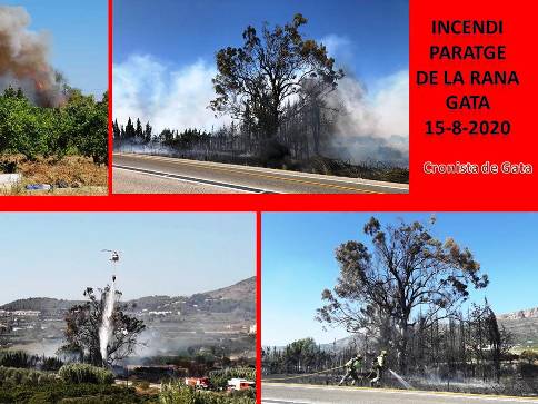 INCENDI AL PARATGE DE LA RANA DE GATA. L'EUCALIPTUS MONUMENTAL I TAN ESTIMAT PELS GATERS S'HA VIST MOLT AFECTAT. EL FOC S'HA ORIGINAT VORA CARRETERA