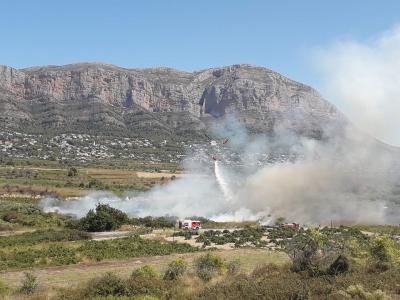 ALTRE INCENDI A 150 METRES DEL D'AHIR. MIGDIA, DIUMENGE 16. GATA