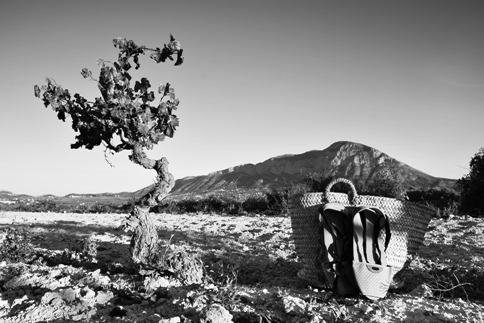EL VEÍ GATER JOSÉ LUIS FORNÉS, GUANYADOR ABSOLUT DEL IX RALLI FOTOGRÀFIC AFX DE XÀBIA. El també gater Vicent Soler obté el tercer premi i premi a la millor foto de fulla control