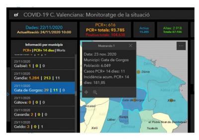 GATA, DOS NOUS POSITIUS DE COVID19: 11 ACTIUS, 39 ACUMULATS