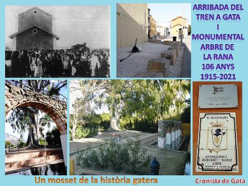 ELS MATEIXOS ANYS TÉ EL TREN A GATA QUE EL CASTIGAT ARBRE DE LA RANA, 1915-2021 (Un mosset d'història gatera)