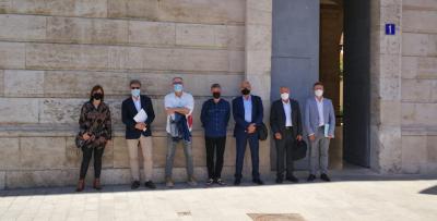 GATA I PEDREGUER EN BUSCA D'UNA SOLUCIÓ A L'ACCES DELS POLÍGONS OQUINS-PLANS