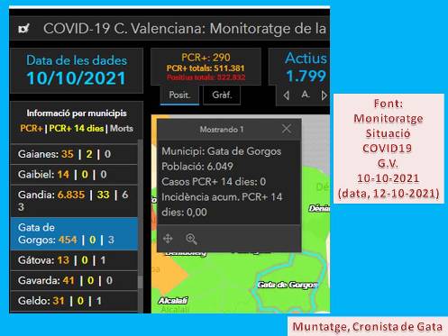 COVID19, GATA: ESTEM ARA SENSE POSITIUS. SEGUIM AIXINA