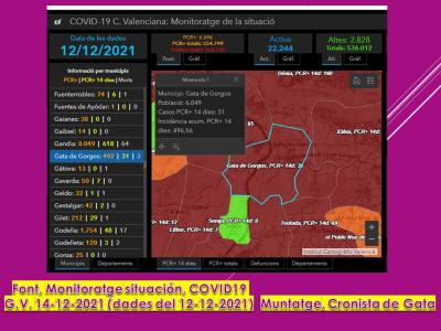 COVID19, GATA: HUI DIMARTS 14/12, SEGUIM PUJANT: 12 CASOS MÉS. TENIM 31 ACTIUS, INCIDÈNCIA 496,56
