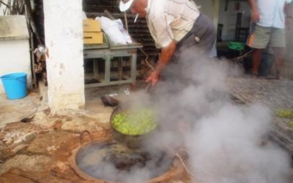 VELLES ESTAMPES DEL DOLÇ ART DE L'ESCALDÀ A GATA