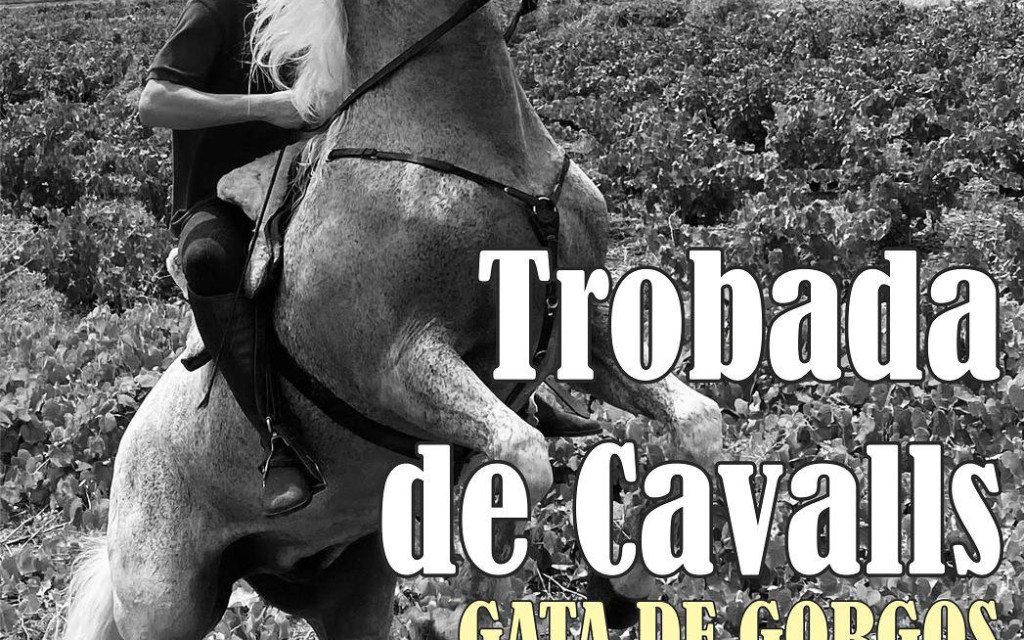 DEMÀ ARRIBEN LES FESTES DE SANT MIQUEL, PATRÓ TITULAR DE LA PARRÒQUIA. DILLUNS FESTA LOCAL: vaques, sopars, correfoc, espectacles, retalladors, cavalls, processó i castell