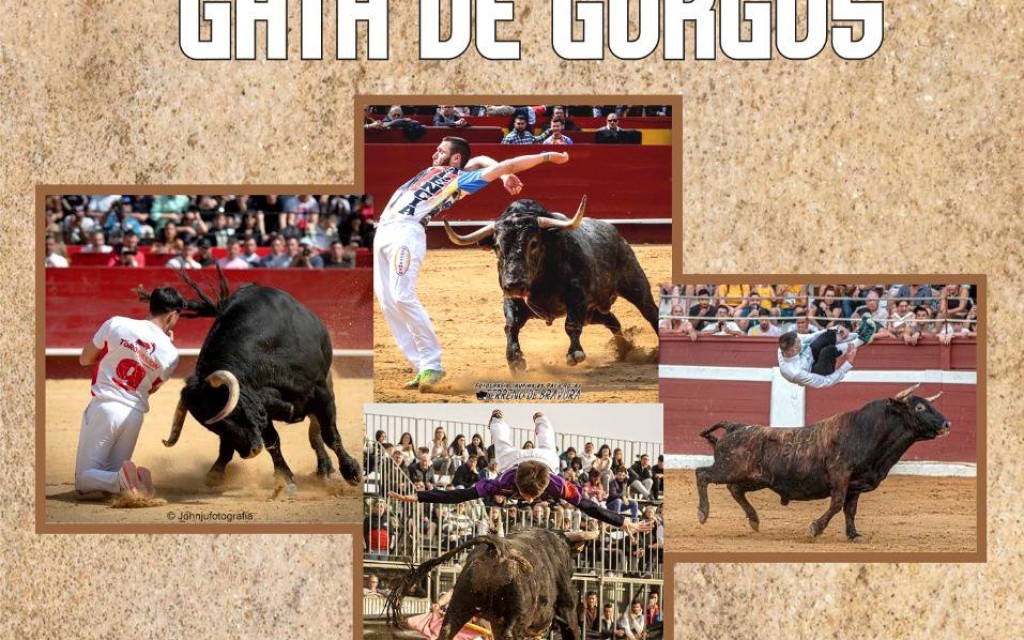 ELS CAVALLS, LA SEUA DOMA I EL PASSEIG PEL POBLE, DOMINEN EL MATÍ DEL TERCER DIA DE FESTES DE SANT MIQUEL