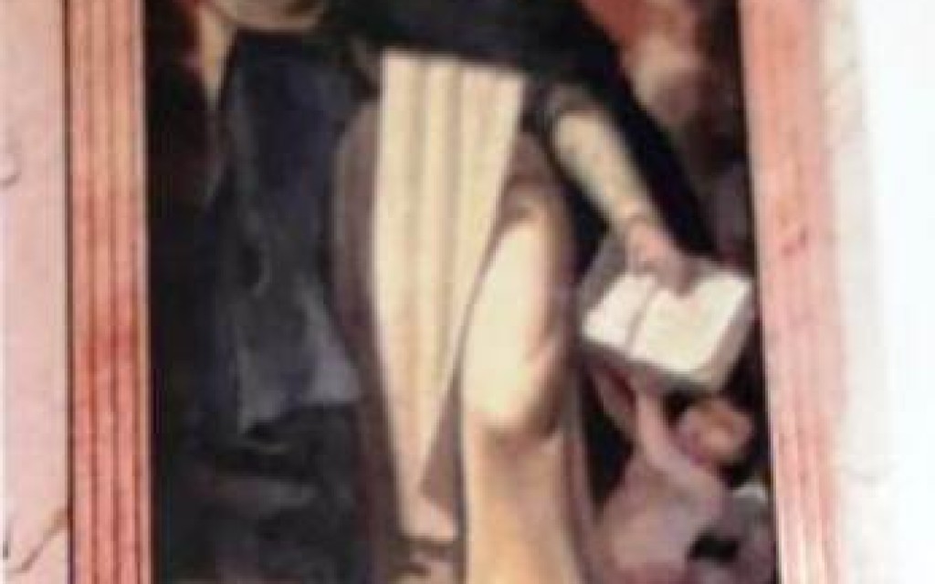 HUI ÉS SANT VICENT FERRER, PATRÓ MOLT ARRELAT A LA COMARCA. GATA LI TÉ DEDICAT UN CARRER I QUATRE MANIFESTACIONS ARTÍSTIQUES