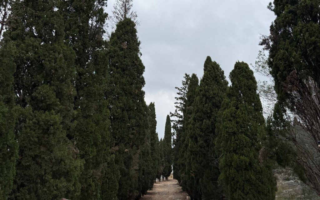VENIU DE VOLTA?. RUTA GUIADA PEL POBLE I A L'ERMITA, DIMECRES 15, A LES 19:30 HORES, CRONISTA DE GATA (Dins del programa cultural de Art al Vent)