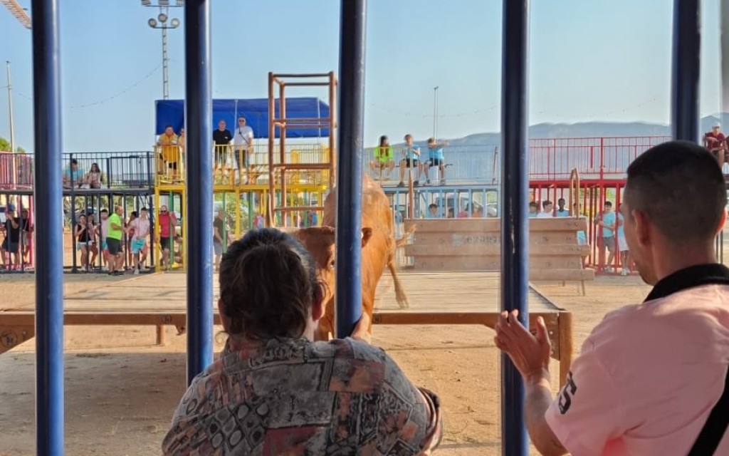 TERCER DIA DE FESTES DE GATA. ENTRÀ MATINAL, INAUGURACIONS DEL CORRO I LES BARRAQUES